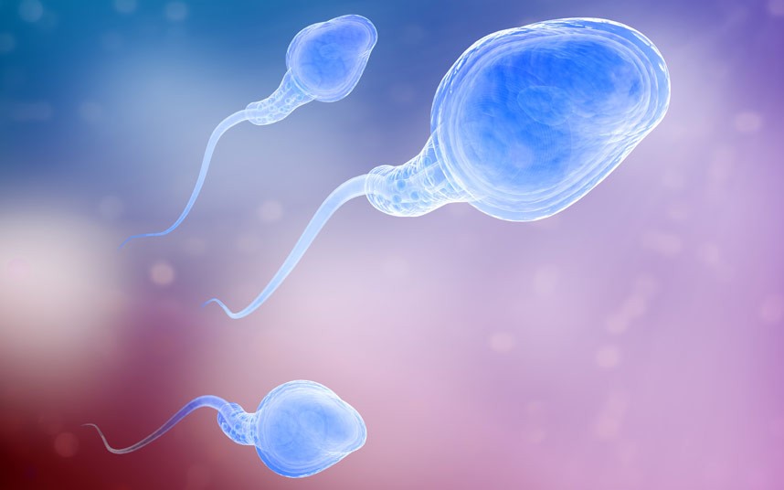 Causas de la infertilidad masculina