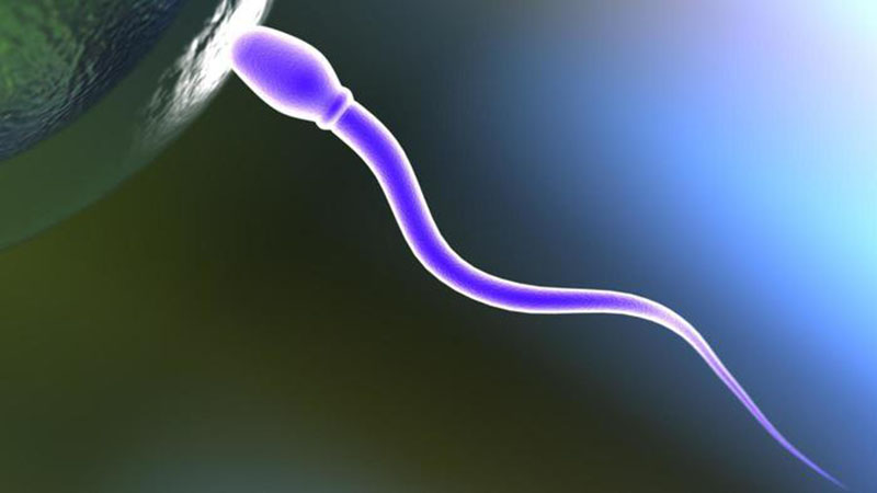 Cinco mitos sobre la infertilidad masculina