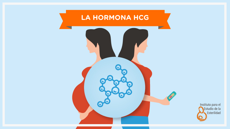 La hormona HCG