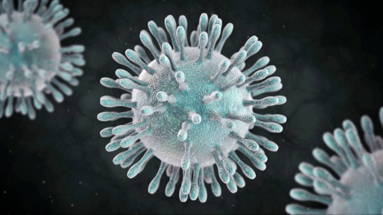 Coronavirus, Reproducción Asistida y Embarazo